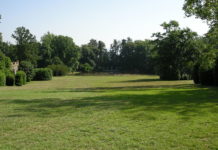 Cure per un prato perfetto 1121 0 Cure per un prato perfetto.JPG